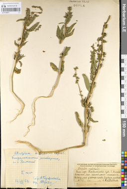 LE 01104471