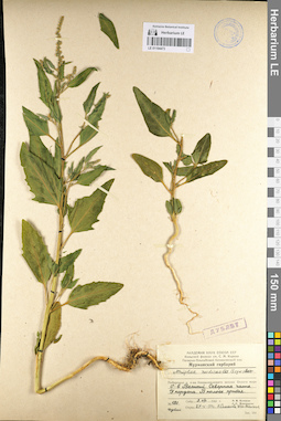 LE 01104473