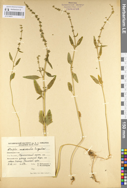 LE 01104474