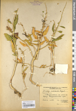 LE 01104476