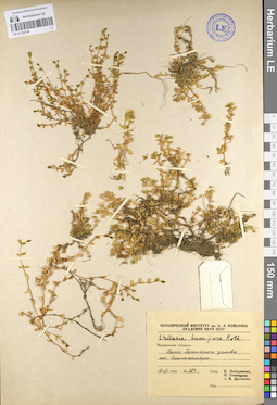 LE 01104746