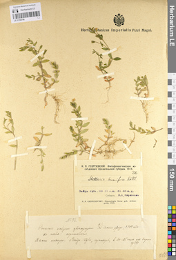 LE 01104748