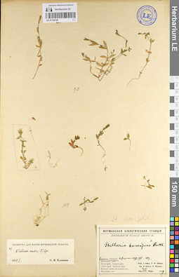 LE 01104749