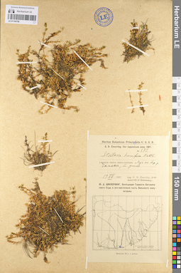 LE 01104750