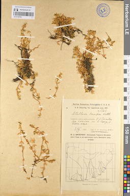 LE 01104752