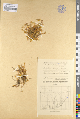 LE 01104754