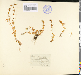 LE 01104756