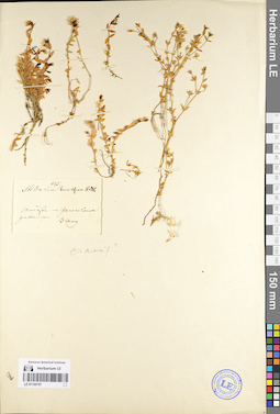 LE 01104757
