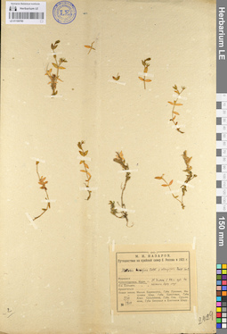 LE 01104760