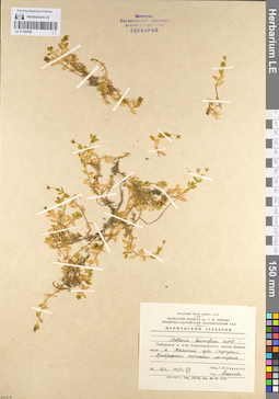 LE 01104768