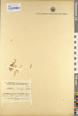 LE 01104774