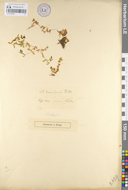 LE 01104783