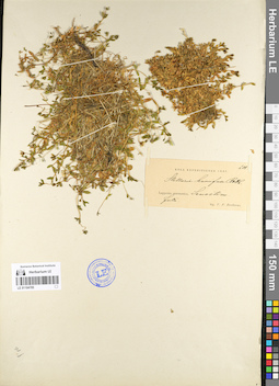 LE 01104785