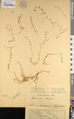 LE 01104790