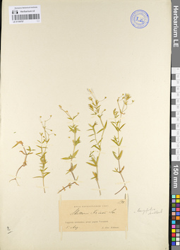 LE 01104797