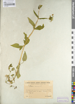 LE 01104831