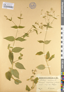 LE 01104837