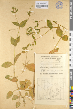LE 01104839