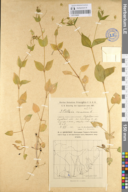 LE 01104840