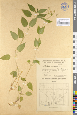 LE 01104841