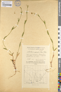 LE 01104845