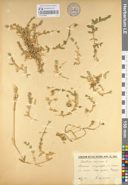 LE 01104850