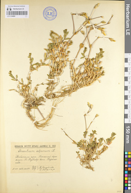 LE 01104860