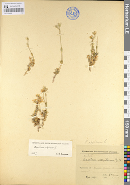 LE 01104866