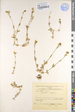 LE 01104868