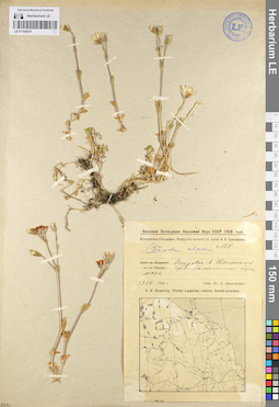 LE 01104874