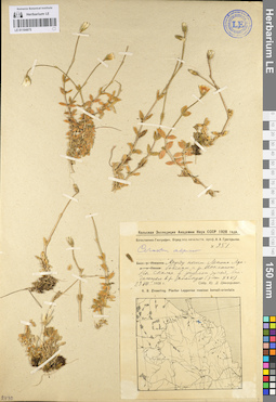 LE 01104875