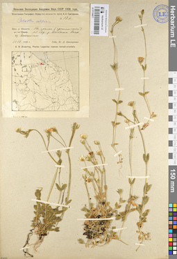 LE 01104877