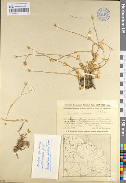 LE 01104878