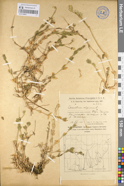 LE 01104879