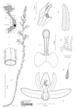 LE 01090284