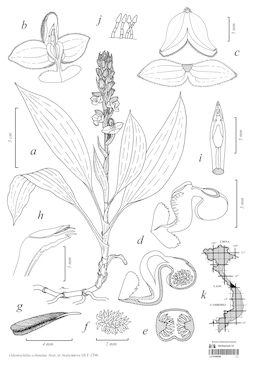 LE 01090294
