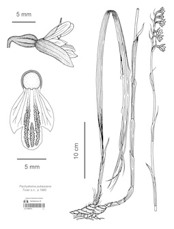 LE 01090315