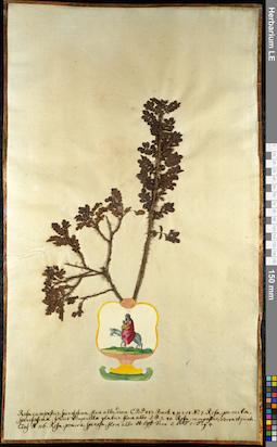 LE 01092563