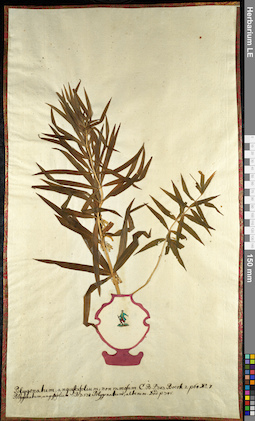 LE 01092564