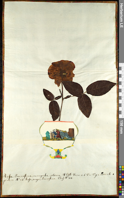 LE 01092568