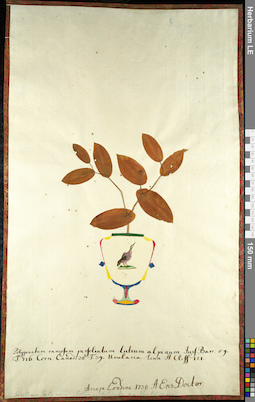 LE 01092570