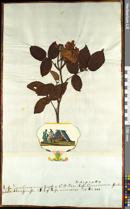 LE 01092571