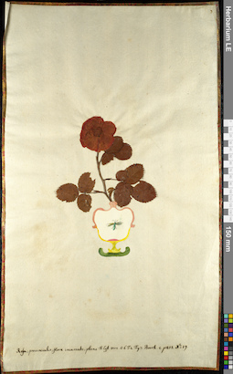 LE 01092572