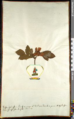 LE 01092573