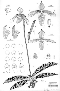 LE 01090350