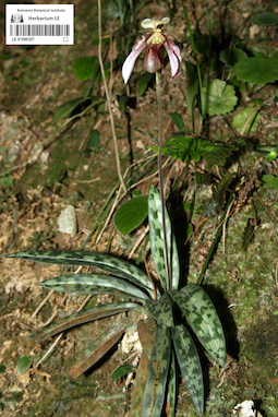 LE 01090357
