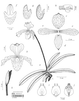 LE 01090385