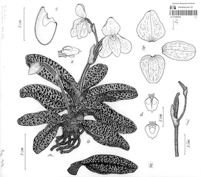 LE 01090435
