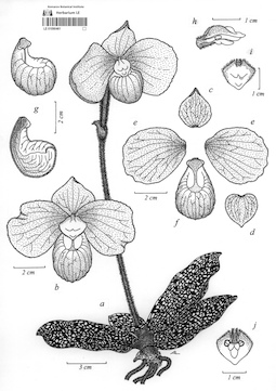 LE 01090461