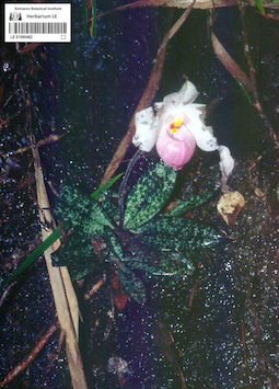 LE 01090462